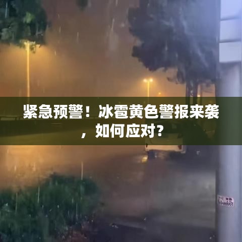 第2255页