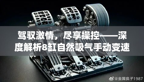 免责声明 第282页