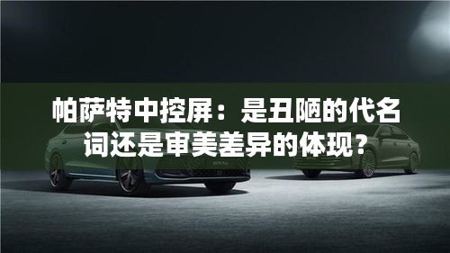 帕萨特中控屏：是丑陋的代名词还是审美差异的体现？