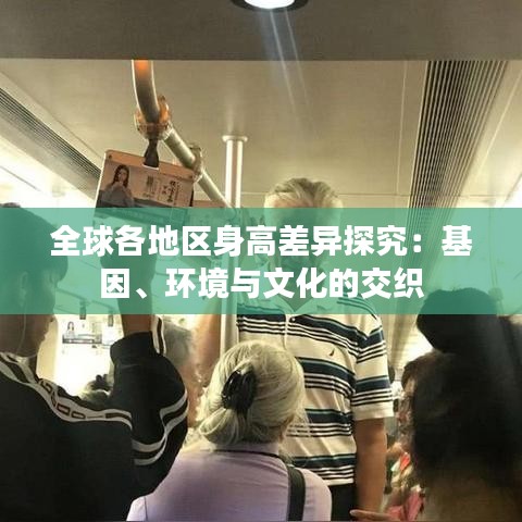全球各地区身高差异探究：基因、环境与文化的交织
