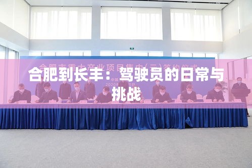 合肥到长丰：驾驶员的日常与挑战
