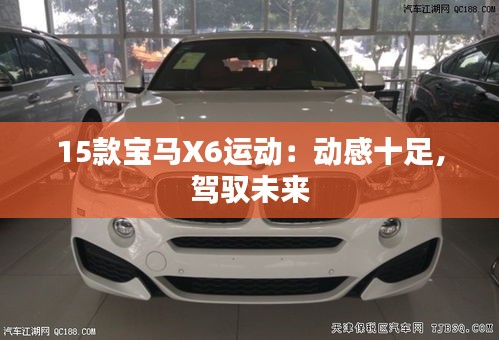 15款宝马X6运动：动感十足，驾驭未来