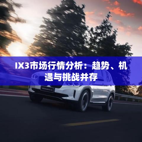 IX3市场行情分析：趋势、机遇与挑战并存