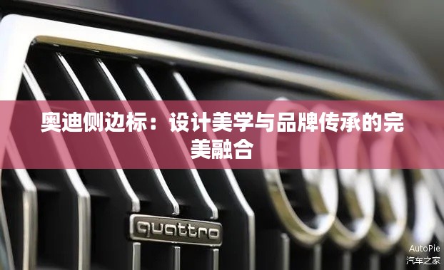奥迪侧边标：设计美学与品牌传承的完美融合