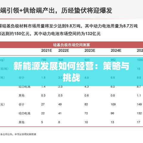 新能源发展如何经营：策略与挑战
