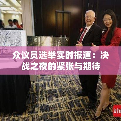 众议员选举实时报道：决战之夜的紧张与期待