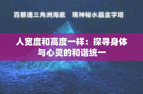 免责声明 第273页