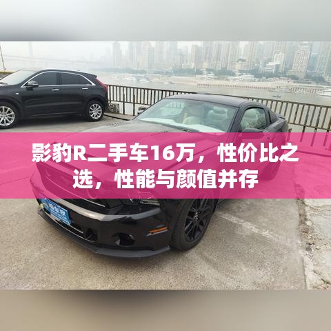 软件定制﻿﻿ 第265页
