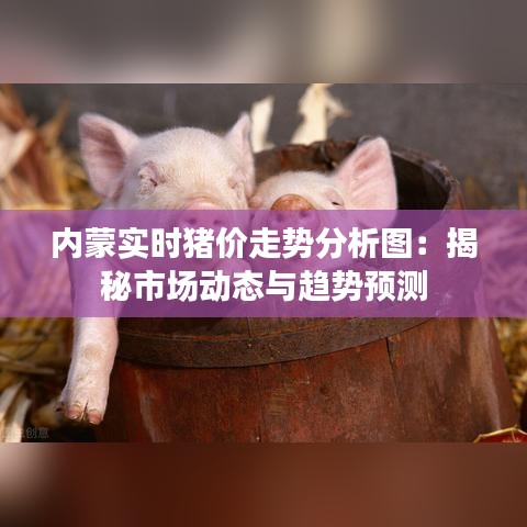免责声明 第272页