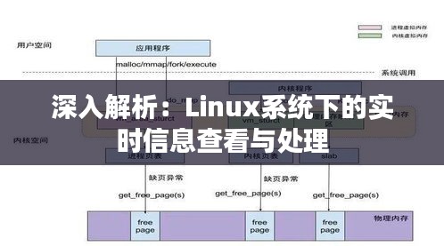 深入解析：Linux系统下的实时信息查看与处理