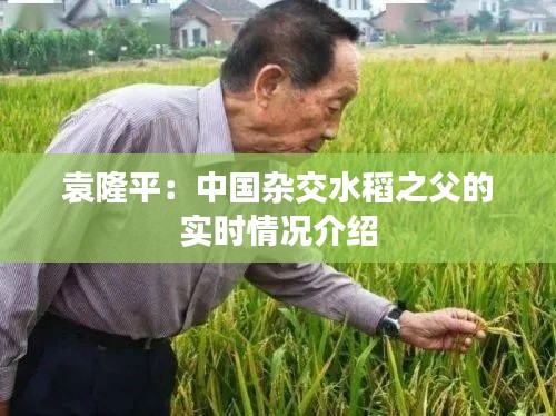 袁隆平：中国杂交水稻之父的实时情况介绍