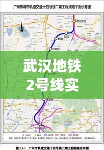 天生丽质 第5页