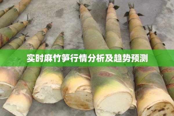 风韵犹存 第4页