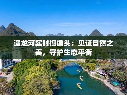 遇龙河实时摄像头：见证自然之美，守护生态平衡