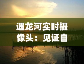 软件定制﻿﻿ 第263页