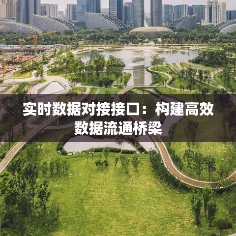 实时数据对接接口：构建高效数据流通桥梁