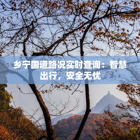 乡宁国道路况实时查询：智慧出行，安全无忧