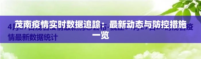 茂南疫情实时数据追踪：最新动态与防控措施一览
