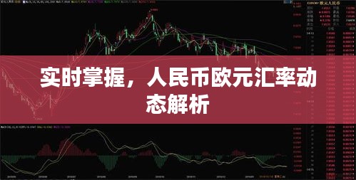 实时掌握，人民币欧元汇率动态解析