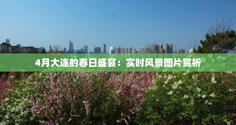 独学寡闻 第4页