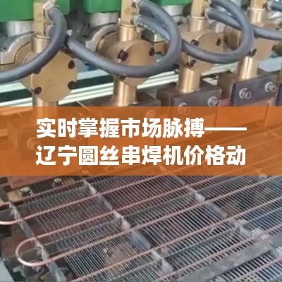 实时掌握市场脉搏——辽宁圆丝串焊机价格动态分析