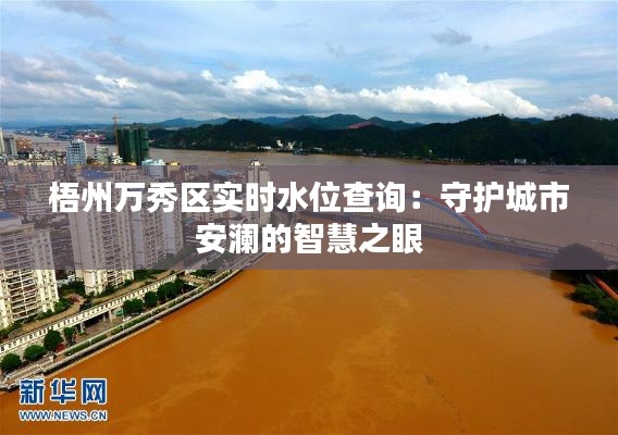 梧州万秀区实时水位查询：守护城市安澜的智慧之眼