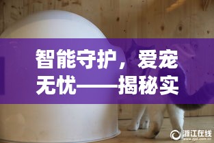 智能守护，爱宠无忧——揭秘实时监控猫咪软件的神奇魅力