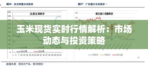 玉米现货实时行情解析：市场动态与投资策略