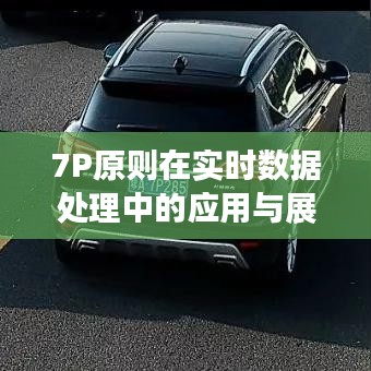 7P原则在实时数据处理中的应用与展示