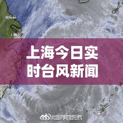 上海今日实时台风新闻：应对挑战，共筑安全防线