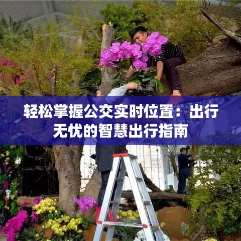 轻松掌握公交实时位置：出行无忧的智慧出行指南