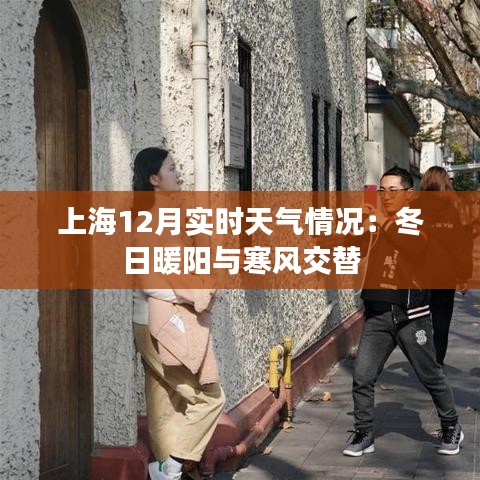 上海12月实时天气情况：冬日暖阳与寒风交替