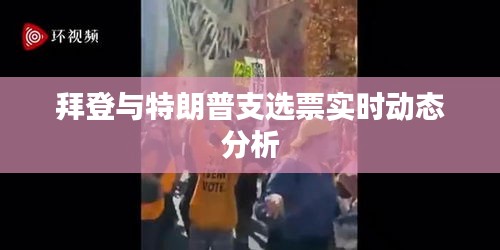 拜登与特朗普支选票实时动态分析
