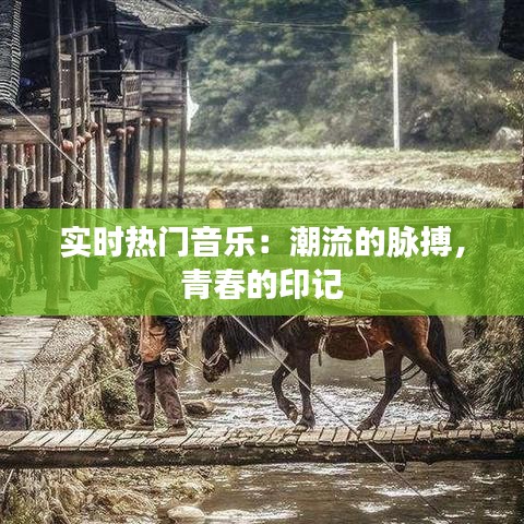 网站建设 第266页