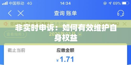 非实时申诉：如何有效维护自身权益