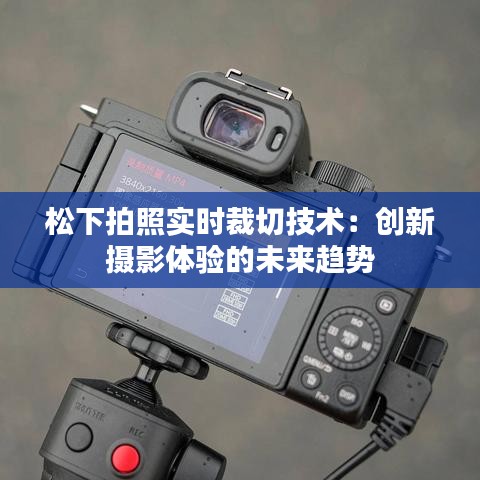 娇小玲珑 第3页