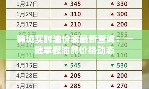 韩城实时油价表最新查询：一键掌握油品价格动态
