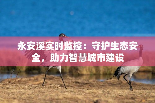 永安溪实时监控：守护生态安全，助力智慧城市建设