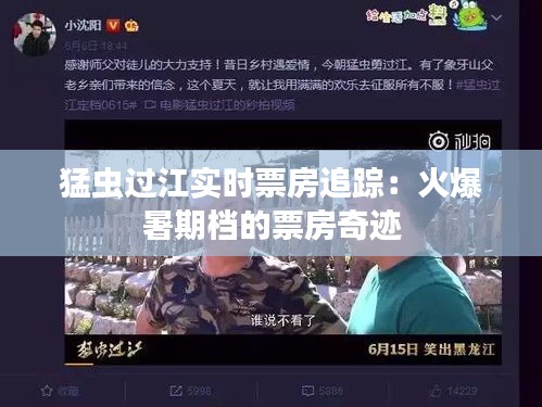 猛虫过江实时票房追踪：火爆暑期档的票房奇迹