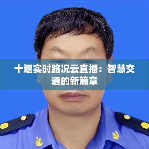 悬驼就石 第4页