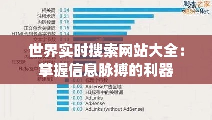 世界实时搜索网站大全：掌握信息脉搏的利器