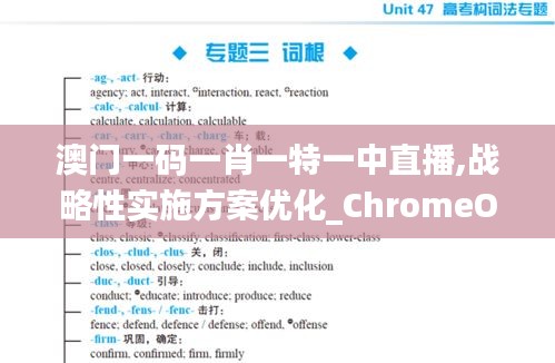 澳门一码一肖一特一中直播,战略性实施方案优化_ChromeOS6.620