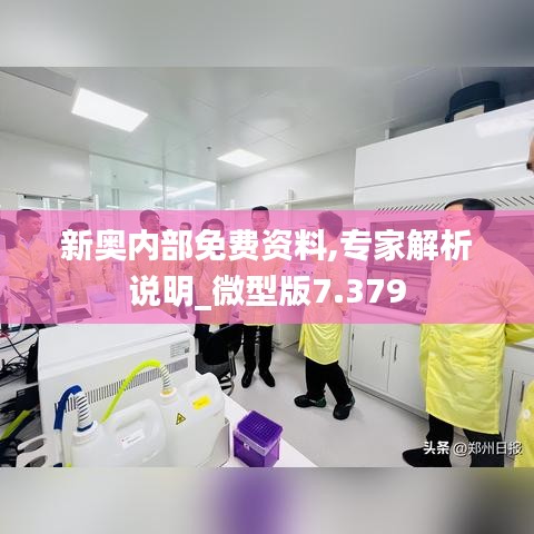 新奥内部免费资料,专家解析说明_微型版7.379