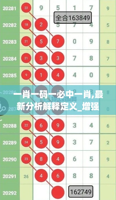 一肖一码一必中一肖,最新分析解释定义_增强版2.334