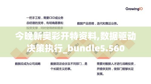 今晚新奥彩开特资料,数据驱动决策执行_bundle5.560