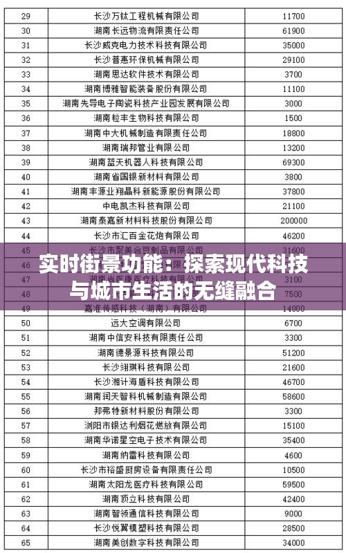 实时街景功能：探索现代科技与城市生活的无缝融合
