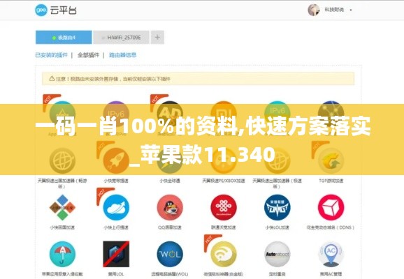 一码一肖100%的资料,快速方案落实_苹果款11.340