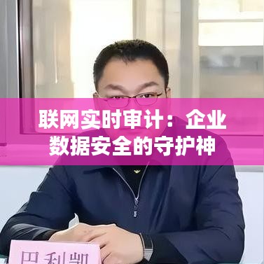 联网实时审计：企业数据安全的守护神