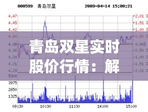 青岛双星实时股价行情：解读市场动态与投资策略