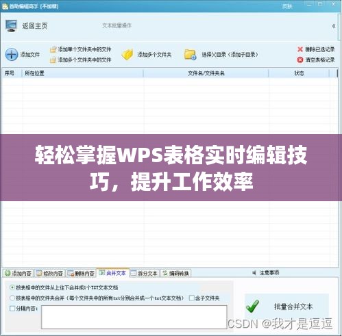 轻松掌握WPS表格实时编辑技巧，提升工作效率